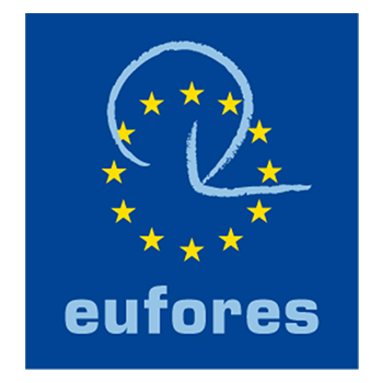Eufores about logo